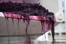 Pressing Mighty Yee Wines White Hawk Syrah