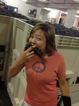 Mighty Yee Wines White Hawk Syrah grapes